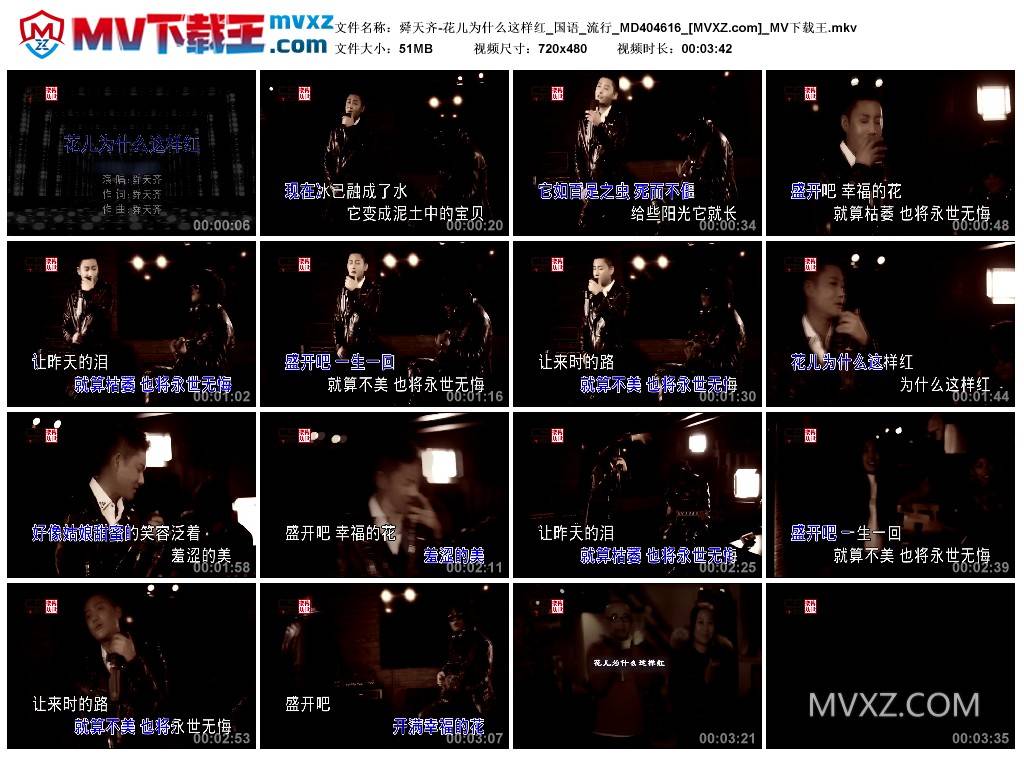 舜天齐-花儿为什么这样红_国语_流行_MD404616